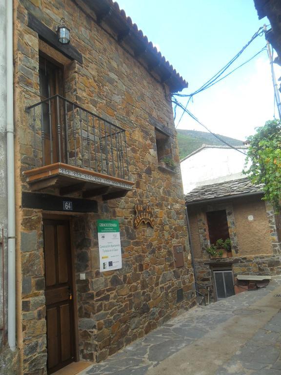 La Jelechera Apartamento El Gasco